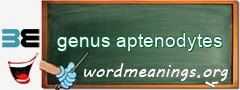 WordMeaning blackboard for genus aptenodytes